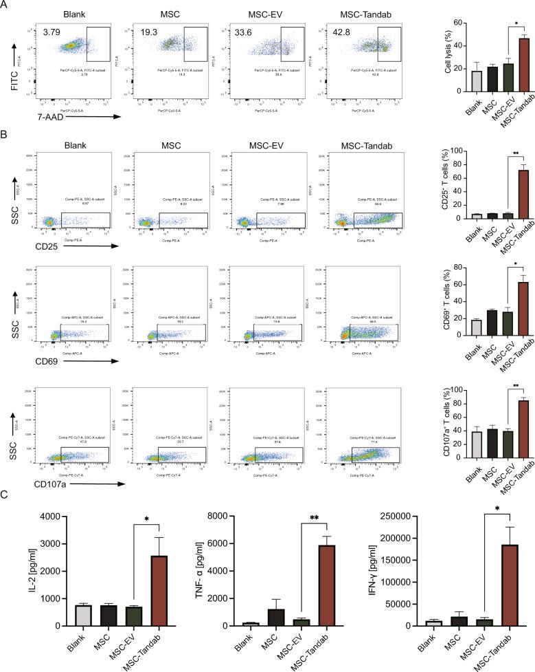 https://cdn.ncbi.nlm.nih.gov/pmc/blobs/6330/11823243/3315085ebe67/13287_2025_4212_Fig6_HTML.jpg