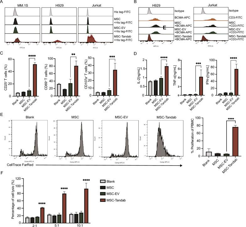 https://cdn.ncbi.nlm.nih.gov/pmc/blobs/6330/11823243/3925ee7b7e4c/13287_2025_4212_Fig2_HTML.jpg