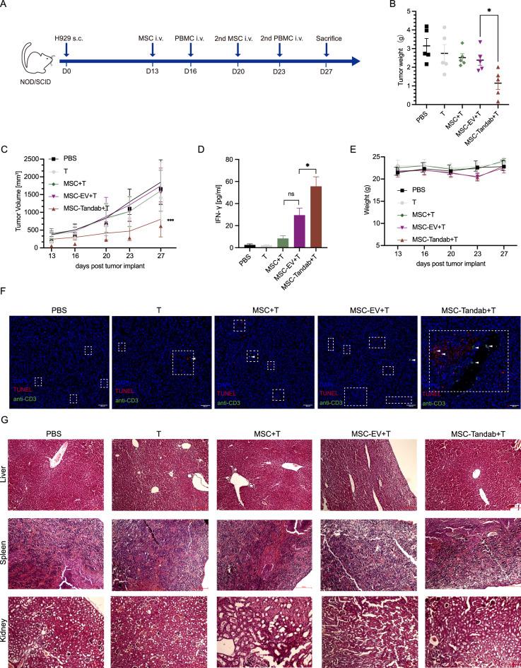 https://cdn.ncbi.nlm.nih.gov/pmc/blobs/6330/11823243/405ec8758825/13287_2025_4212_Fig7_HTML.jpg
