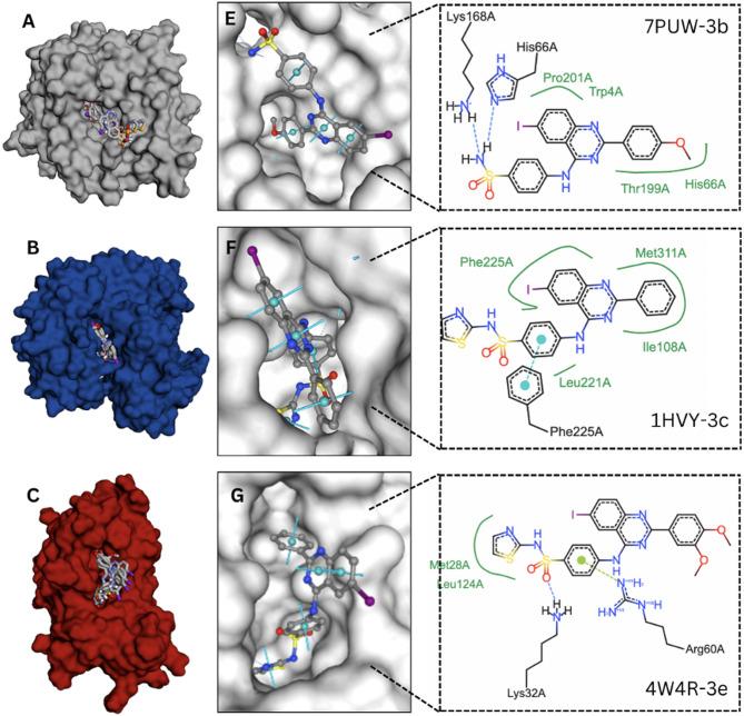 https://cdn.ncbi.nlm.nih.gov/pmc/blobs/6330/12177125/725b3eeb3edc/13568_2025_1899_Fig4_HTML.jpg