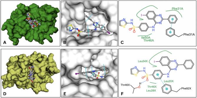 https://cdn.ncbi.nlm.nih.gov/pmc/blobs/6330/12177125/a6a0b386cff4/13568_2025_1899_Fig5_HTML.jpg