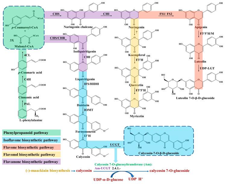 https://cdn.ncbi.nlm.nih.gov/pmc/blobs/6331/10343288/77d98757fb6e/molecules-28-05018-g001.jpg