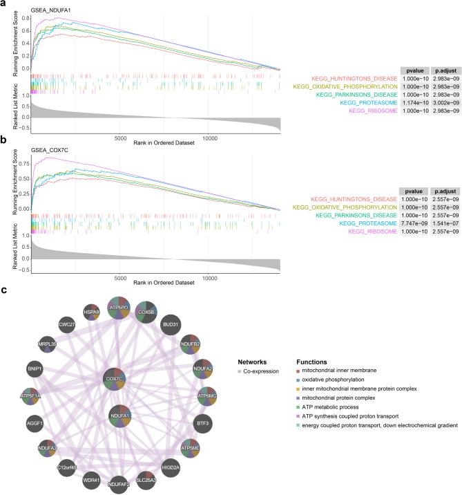 https://cdn.ncbi.nlm.nih.gov/pmc/blobs/6332/12398541/31e6f4d0f4b1/41598_2025_17606_Fig5_HTML.jpg
