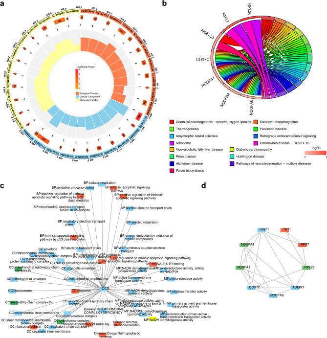 https://cdn.ncbi.nlm.nih.gov/pmc/blobs/6332/12398541/84c8e69888e1/41598_2025_17606_Fig3_HTML.jpg