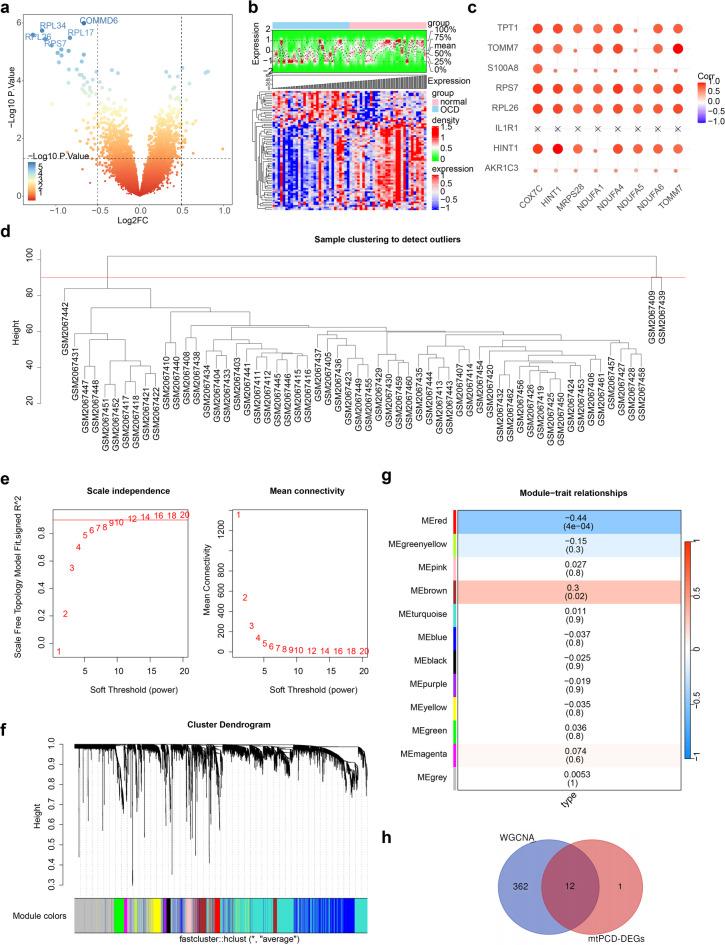 https://cdn.ncbi.nlm.nih.gov/pmc/blobs/6332/12398541/d63922c44dab/41598_2025_17606_Fig2_HTML.jpg