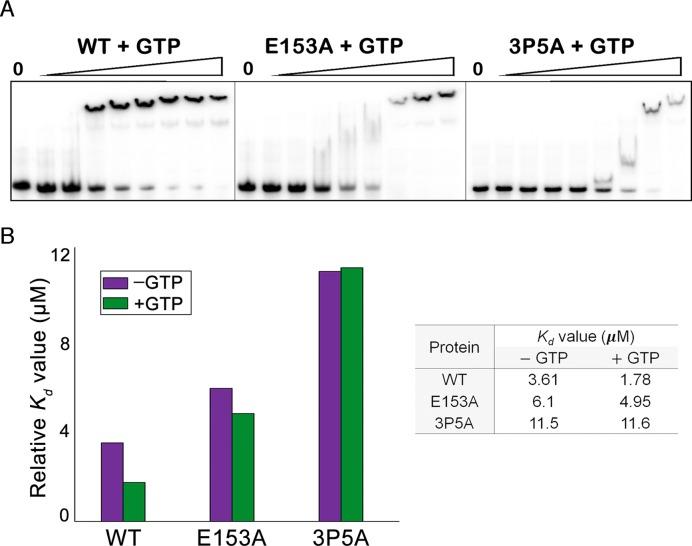 https://cdn.ncbi.nlm.nih.gov/pmc/blobs/6333/5100569/e37f9fb4d657/gkw775fig4.jpg