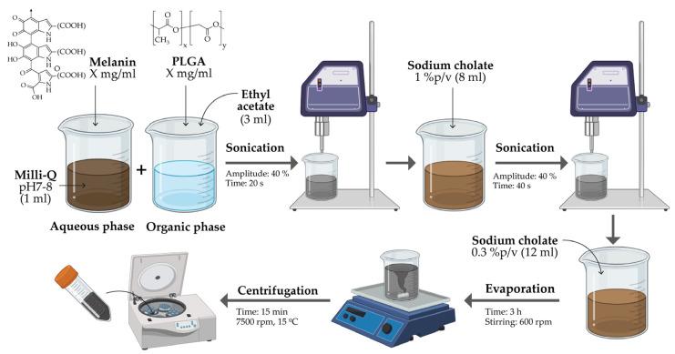 https://cdn.ncbi.nlm.nih.gov/pmc/blobs/6335/11243654/87ea42452c23/nanomaterials-14-01149-g001.jpg