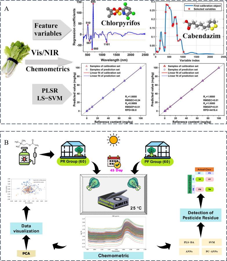 https://cdn.ncbi.nlm.nih.gov/pmc/blobs/6335/12346310/5d3e65099391/foods-14-02679-g003.jpg