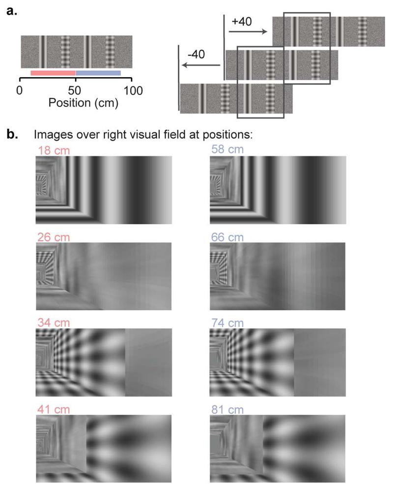 https://cdn.ncbi.nlm.nih.gov/pmc/blobs/6335/6309439/b288add3623b/emss-78784-f004.jpg