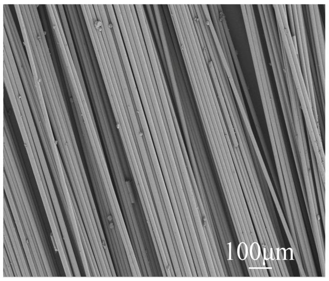 https://cdn.ncbi.nlm.nih.gov/pmc/blobs/6336/11051318/1438b8b61370/materials-17-01725-g005.jpg