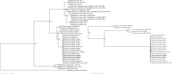 https://cdn.ncbi.nlm.nih.gov/pmc/blobs/6336/4392516/6cd6e3e6c46c/2049-2618-2-1-7.jpg