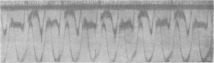 https://cdn.ncbi.nlm.nih.gov/pmc/blobs/6337/1405530/ac2c00789631/jphysiol01729-0114-a.jpg