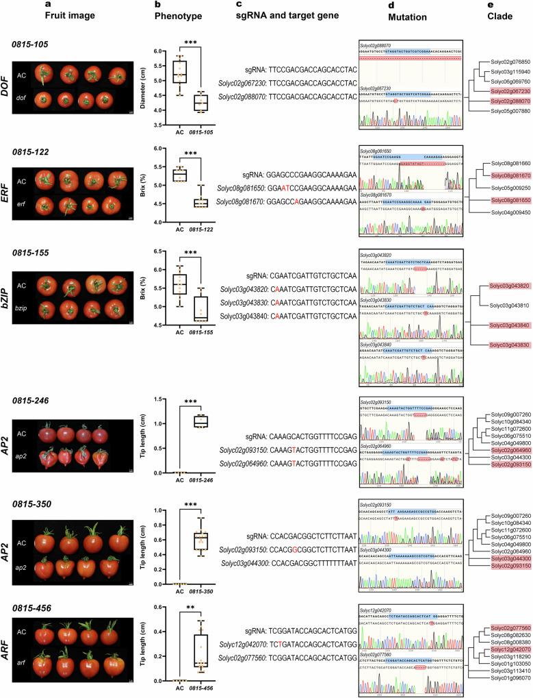 https://cdn.ncbi.nlm.nih.gov/pmc/blobs/633b/12048548/93084a3cdc15/41467_2025_59280_Fig5_HTML.jpg