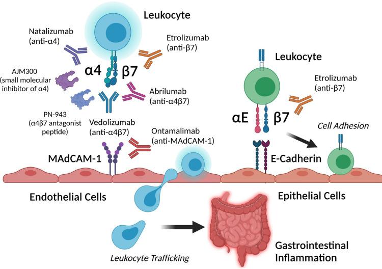 https://cdn.ncbi.nlm.nih.gov/pmc/blobs/633b/8402953/d8e00898c248/CEG-14-333-g0001.jpg