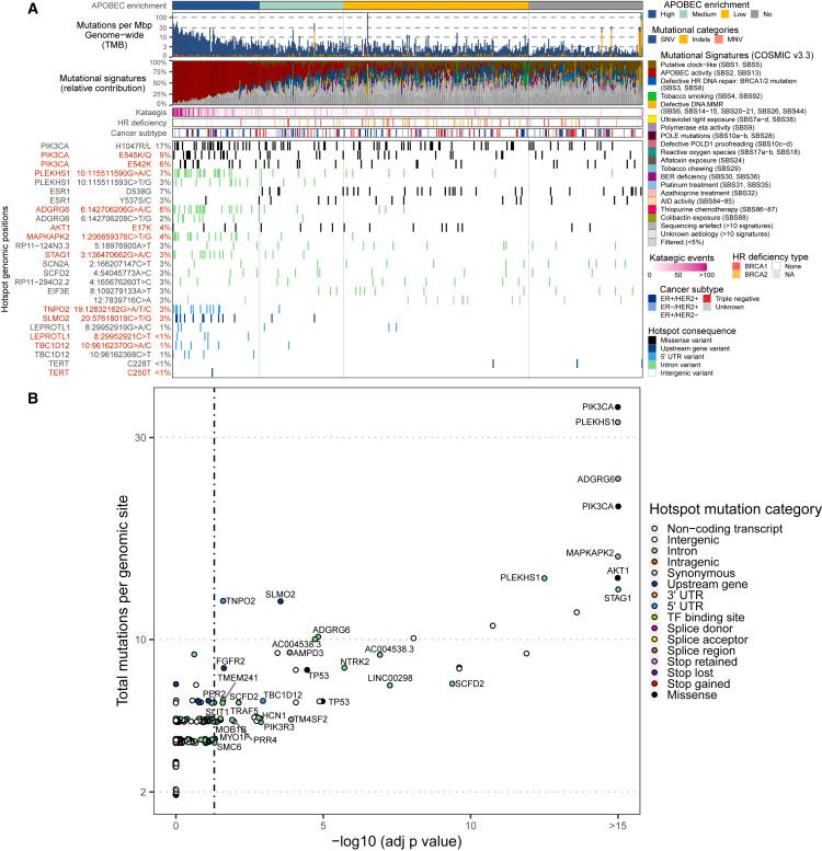 https://cdn.ncbi.nlm.nih.gov/pmc/blobs/633d/11019362/22346610e6ee/gr6.jpg