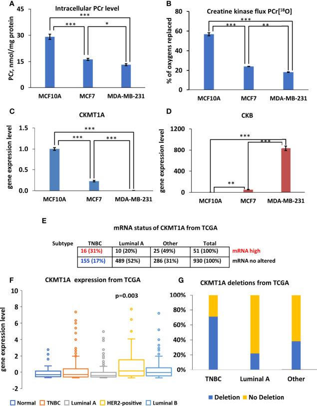 https://cdn.ncbi.nlm.nih.gov/pmc/blobs/633d/9194814/5cfeaaf5e28b/fonc-12-892195-g004.jpg