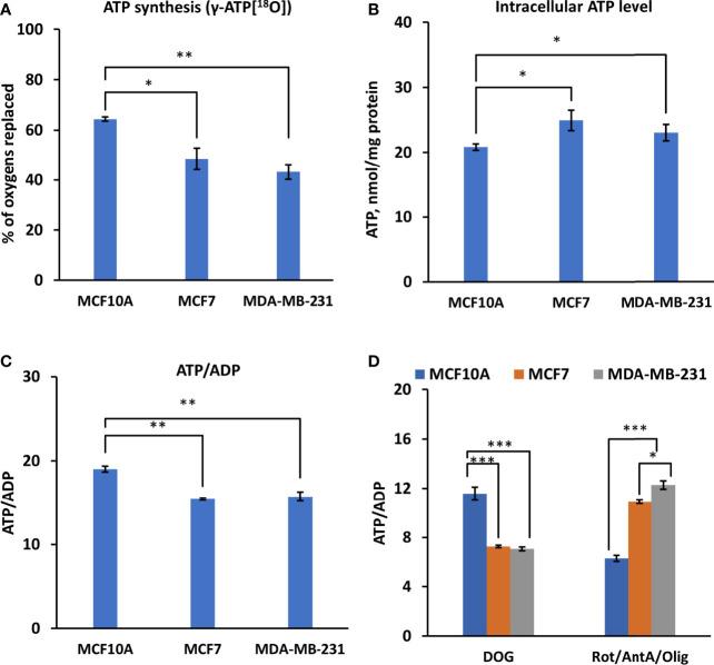 https://cdn.ncbi.nlm.nih.gov/pmc/blobs/633d/9194814/a4f19bb44020/fonc-12-892195-g002.jpg