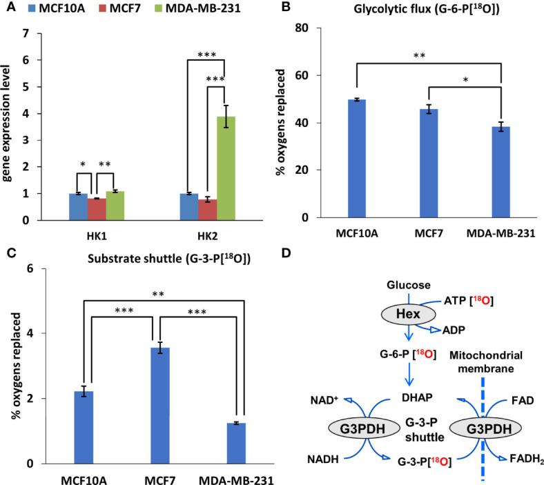 https://cdn.ncbi.nlm.nih.gov/pmc/blobs/633d/9194814/e94c56335758/fonc-12-892195-g003.jpg