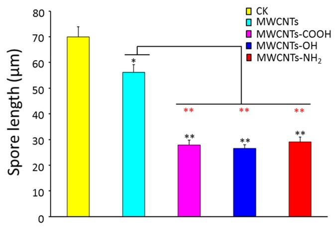 https://cdn.ncbi.nlm.nih.gov/pmc/blobs/633e/5744310/244e579455f1/materials-10-01375-g001.jpg