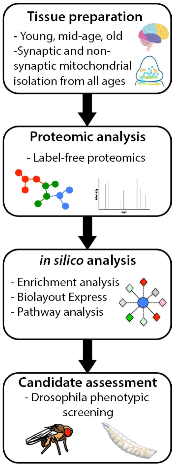 https://cdn.ncbi.nlm.nih.gov/pmc/blobs/633f/8700124/1586c618aa1e/cells-10-03403-g001.jpg