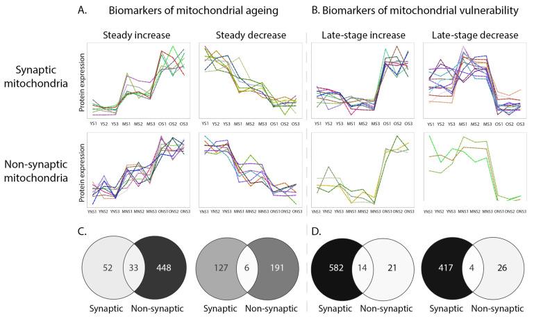 https://cdn.ncbi.nlm.nih.gov/pmc/blobs/633f/8700124/7c2487f8d0fe/cells-10-03403-g005.jpg