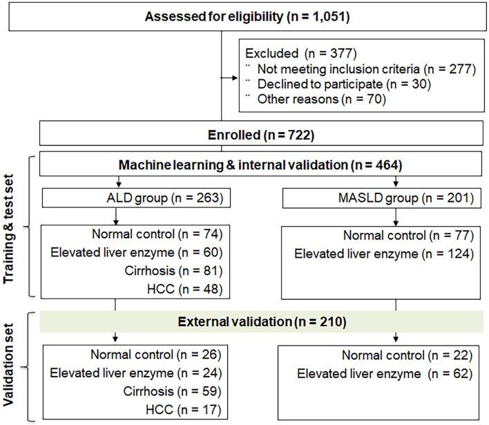 https://cdn.ncbi.nlm.nih.gov/pmc/blobs/6341/11245548/445a8aeba1e2/41598_2024_60768_Fig1_HTML.jpg