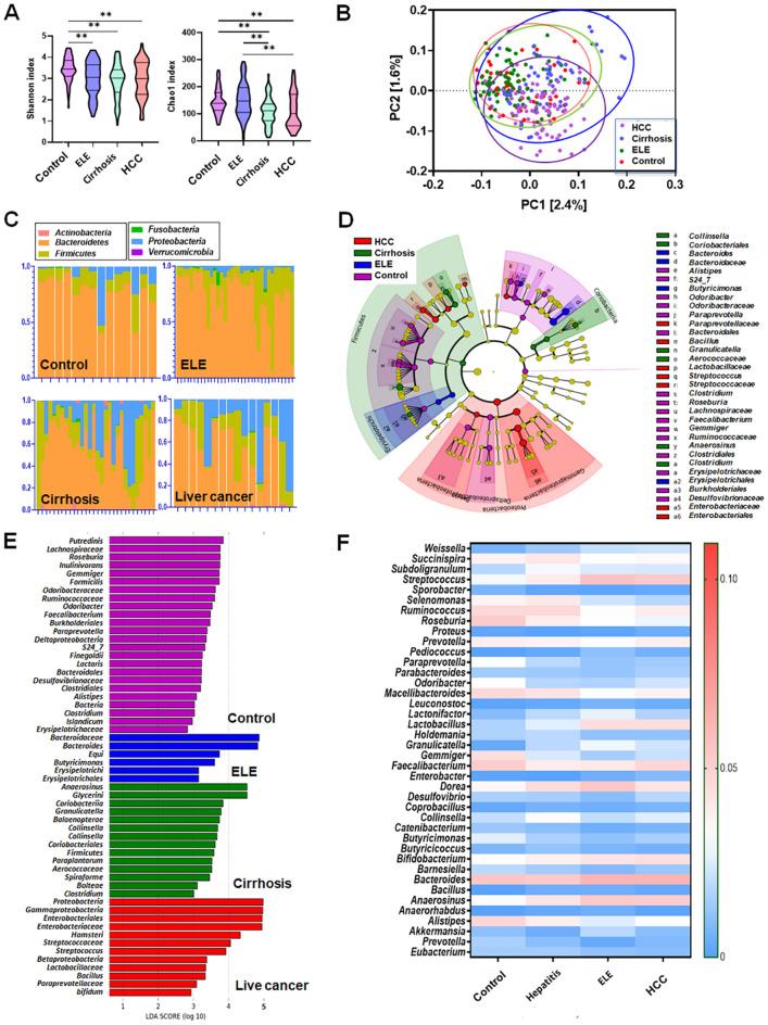 https://cdn.ncbi.nlm.nih.gov/pmc/blobs/6341/11245548/5193cfbe8e66/41598_2024_60768_Fig3_HTML.jpg