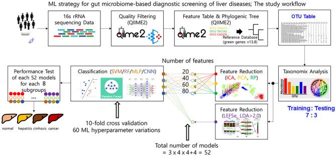 https://cdn.ncbi.nlm.nih.gov/pmc/blobs/6341/11245548/a90a8fd547a4/41598_2024_60768_Fig2_HTML.jpg