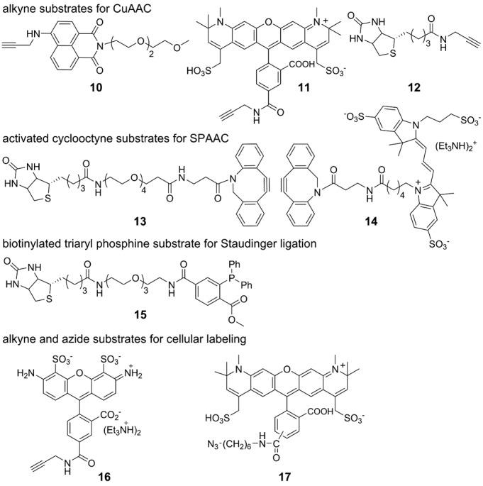 https://cdn.ncbi.nlm.nih.gov/pmc/blobs/6341/4737177/45018756244b/gkv903fig4.jpg