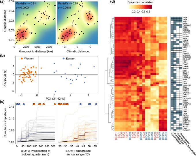 https://cdn.ncbi.nlm.nih.gov/pmc/blobs/6345/11993763/96ba535f933a/41467_2025_58617_Fig4_HTML.jpg