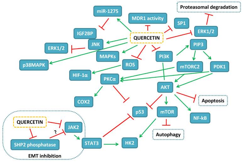 https://cdn.ncbi.nlm.nih.gov/pmc/blobs/6345/9918234/e5de848ea772/ijms-24-02952-g003.jpg