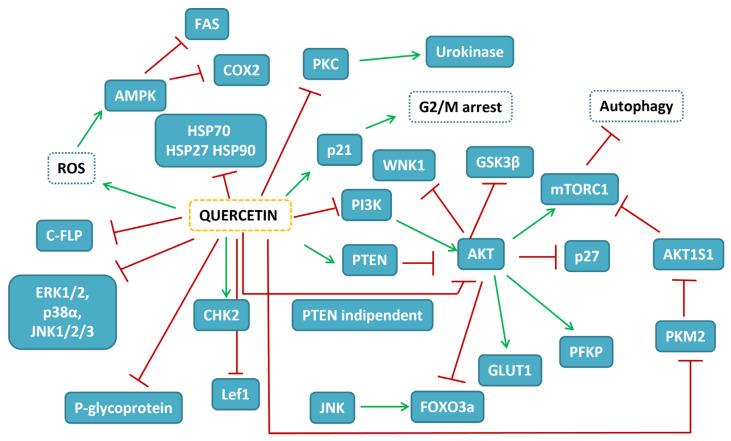 https://cdn.ncbi.nlm.nih.gov/pmc/blobs/6345/9918234/ed8359905cd1/ijms-24-02952-g001.jpg