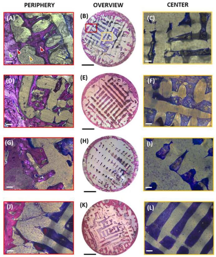 https://cdn.ncbi.nlm.nih.gov/pmc/blobs/6346/10780383/11475ad7b88f/polymers-16-00066-g002.jpg