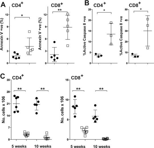 https://cdn.ncbi.nlm.nih.gov/pmc/blobs/6346/5244661/abdf28865ba6/EJI-47-84-g005.jpg