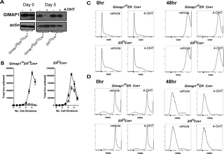 https://cdn.ncbi.nlm.nih.gov/pmc/blobs/6346/5244661/fce1786521e3/EJI-47-84-g002.jpg