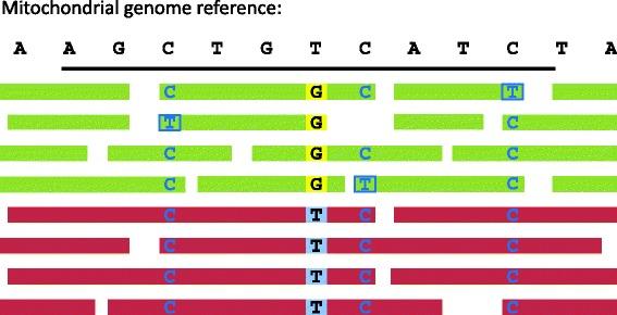 https://cdn.ncbi.nlm.nih.gov/pmc/blobs/6348/4601135/d8ea99d25048/13059_2015_776_Fig1_HTML.jpg