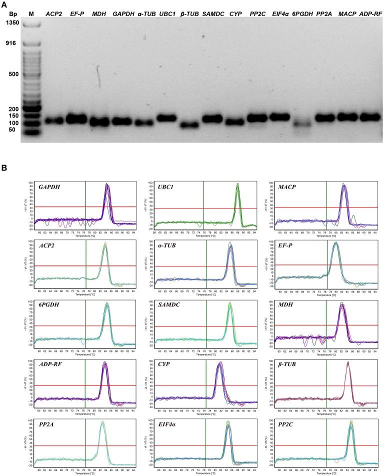https://cdn.ncbi.nlm.nih.gov/pmc/blobs/6348/4843019/7f7ec4ceeb4d/fpls-07-00529-g0001.jpg