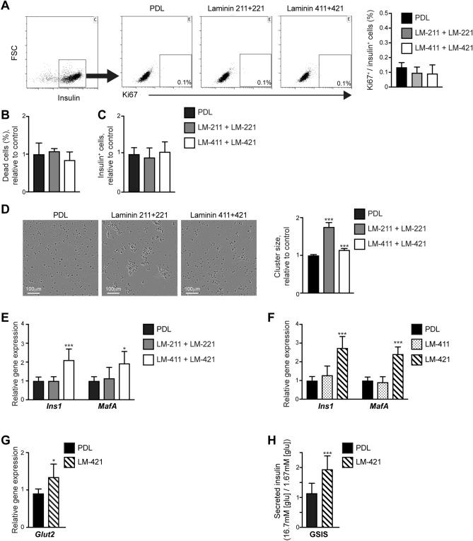 https://cdn.ncbi.nlm.nih.gov/pmc/blobs/6348/7840750/0074940ae838/41598_2021_81774_Fig3_HTML.jpg