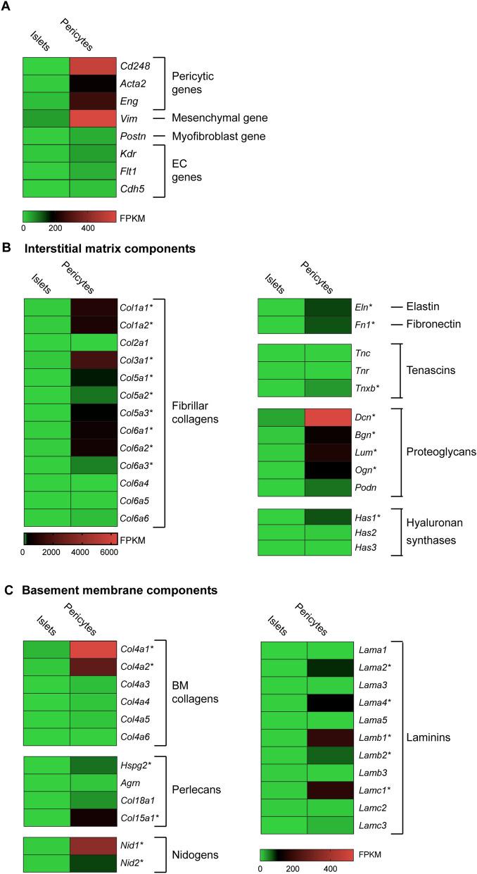 https://cdn.ncbi.nlm.nih.gov/pmc/blobs/6348/7840750/02a1562a2253/41598_2021_81774_Fig1_HTML.jpg