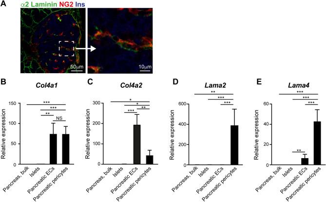 https://cdn.ncbi.nlm.nih.gov/pmc/blobs/6348/7840750/30ac33ac8e7d/41598_2021_81774_Fig2_HTML.jpg