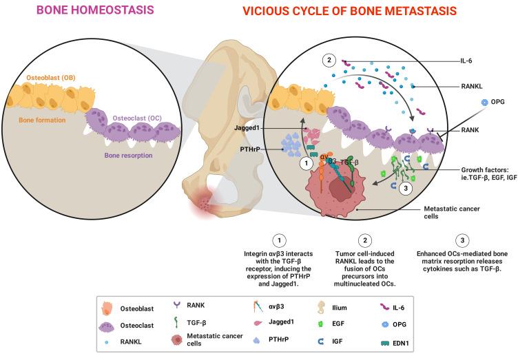 https://cdn.ncbi.nlm.nih.gov/pmc/blobs/634a/11796448/95756ac8d182/CMAR-17-219-g0001.jpg