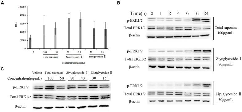 https://cdn.ncbi.nlm.nih.gov/pmc/blobs/634b/5353277/620f88777c2c/fphar-08-00130-g004.jpg