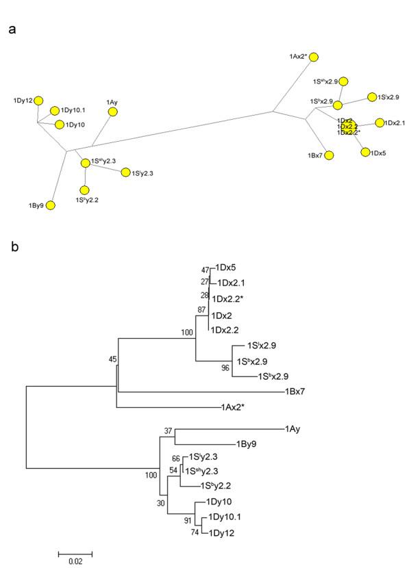 https://cdn.ncbi.nlm.nih.gov/pmc/blobs/634e/3441382/1a5005b0b95b/1471-2229-12-73-5.jpg