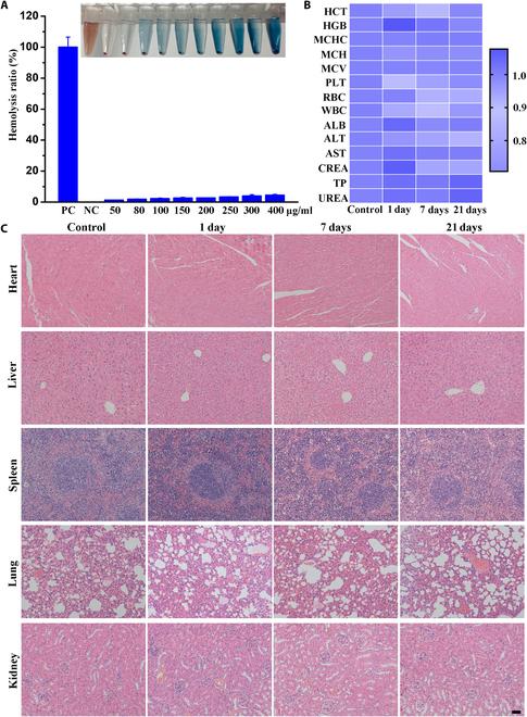 https://cdn.ncbi.nlm.nih.gov/pmc/blobs/634f/12062579/b89014f9fc1e/bmr.0204.fig.009.jpg