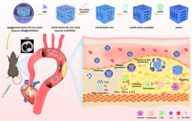 https://cdn.ncbi.nlm.nih.gov/pmc/blobs/634f/12062579/b9bd945a73da/bmr.0204.fig.001.jpg