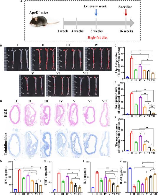 https://cdn.ncbi.nlm.nih.gov/pmc/blobs/634f/12062579/c5a601223d9d/bmr.0204.fig.007.jpg
