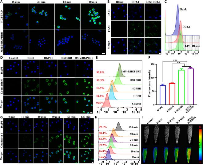 https://cdn.ncbi.nlm.nih.gov/pmc/blobs/634f/12062579/c9367a422b31/bmr.0204.fig.005.jpg