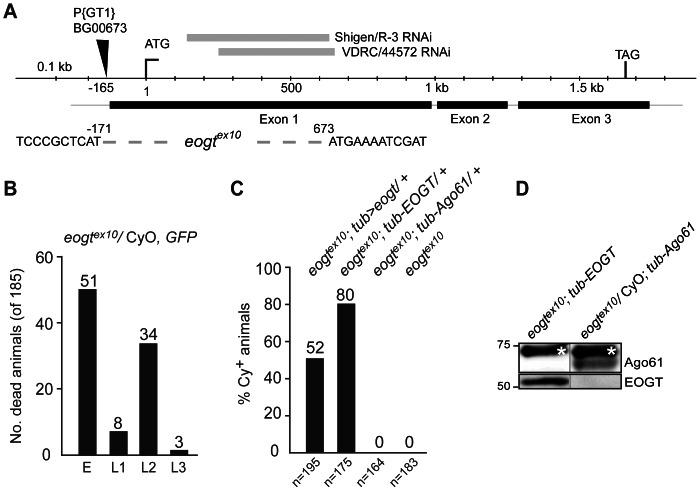 https://cdn.ncbi.nlm.nih.gov/pmc/blobs/634f/3650022/695f4cc95981/pone.0062835.g002.jpg