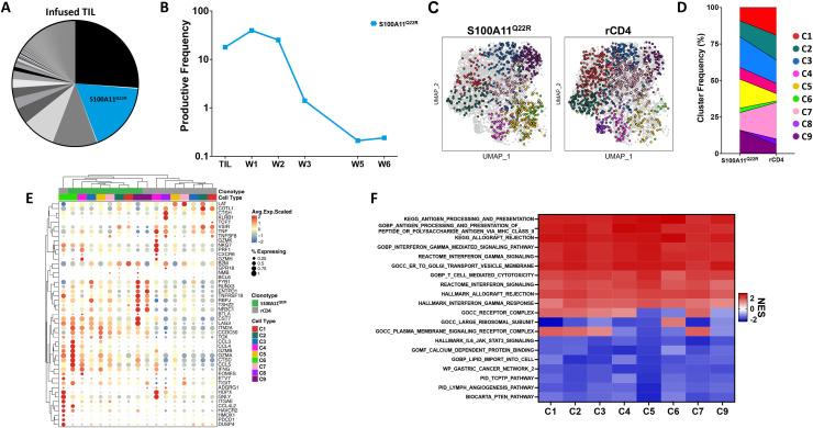 https://cdn.ncbi.nlm.nih.gov/pmc/blobs/6351/10565316/46a17387c2ef/jitc-2023-007288f03.jpg