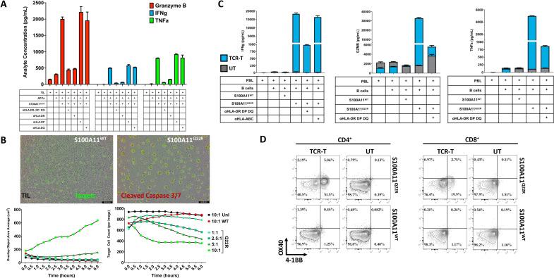 https://cdn.ncbi.nlm.nih.gov/pmc/blobs/6351/10565316/942b1800e97a/jitc-2023-007288f02.jpg